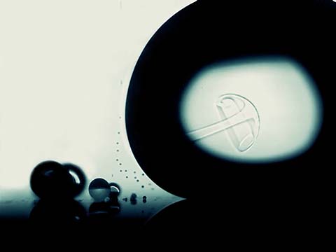 미시 세계를 동영상 속에 담았다