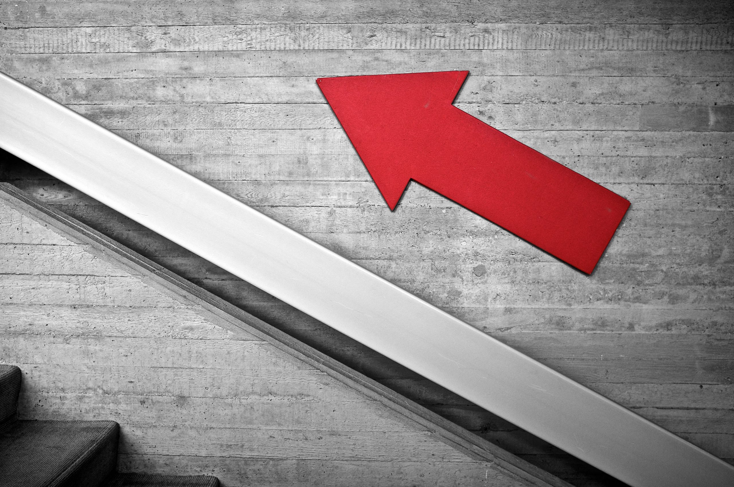 [DailyRecipe] 코로나19 영향에도 3분기 창업↑