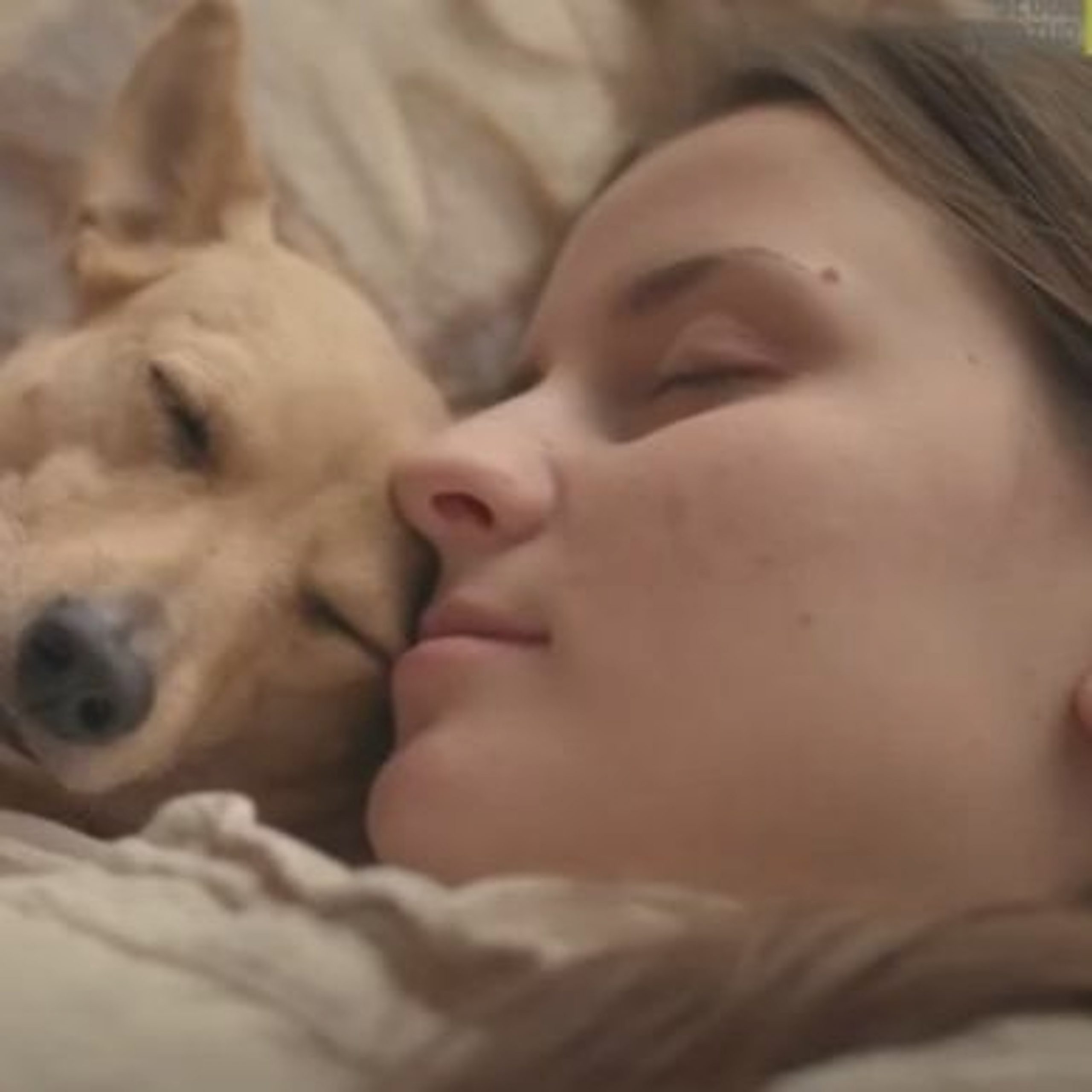 [스타트HUB뉴스] TV동물농장과 함께 성장할 펫스타트업은?