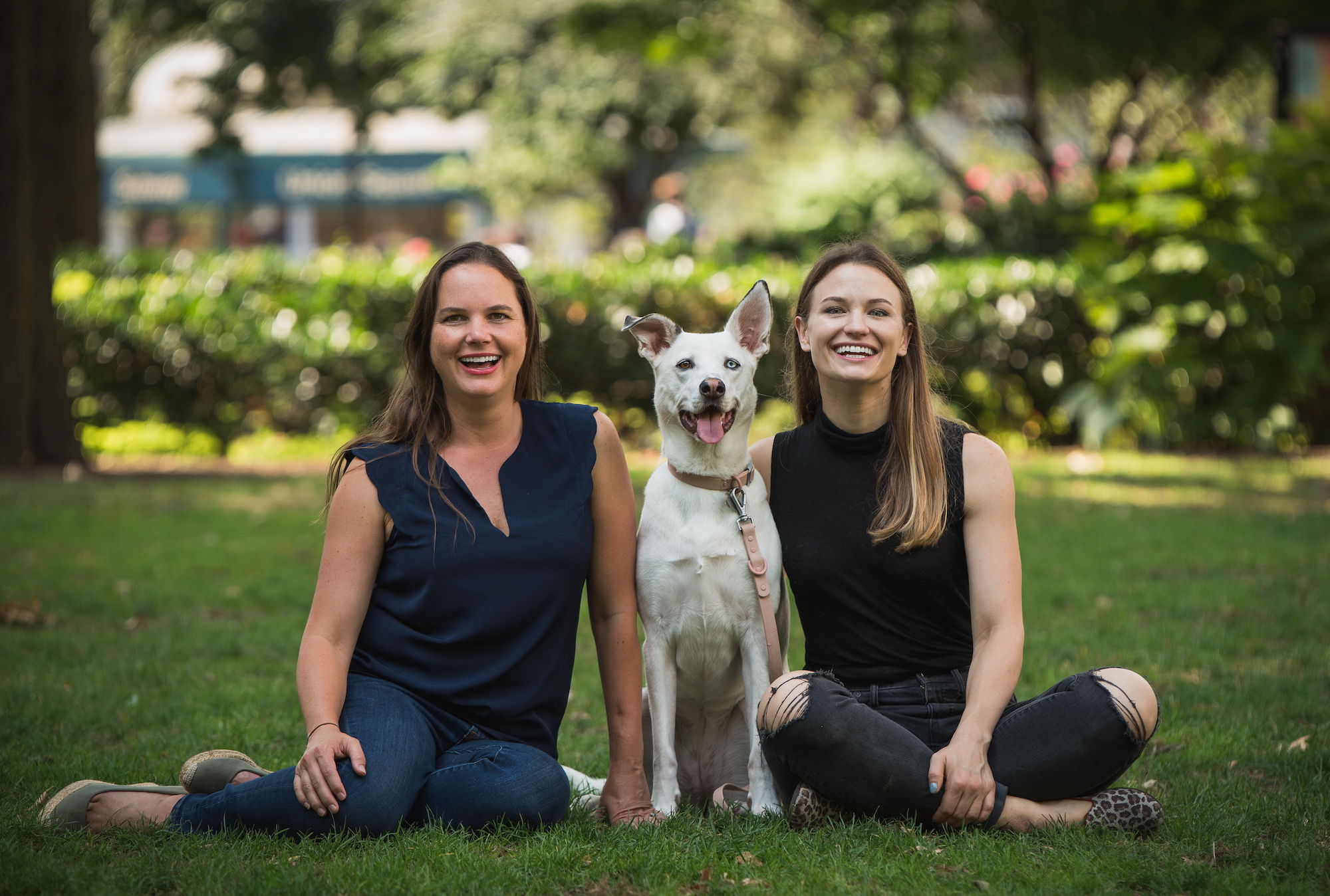 반려동물 보험 서비스 ‘웨그모’