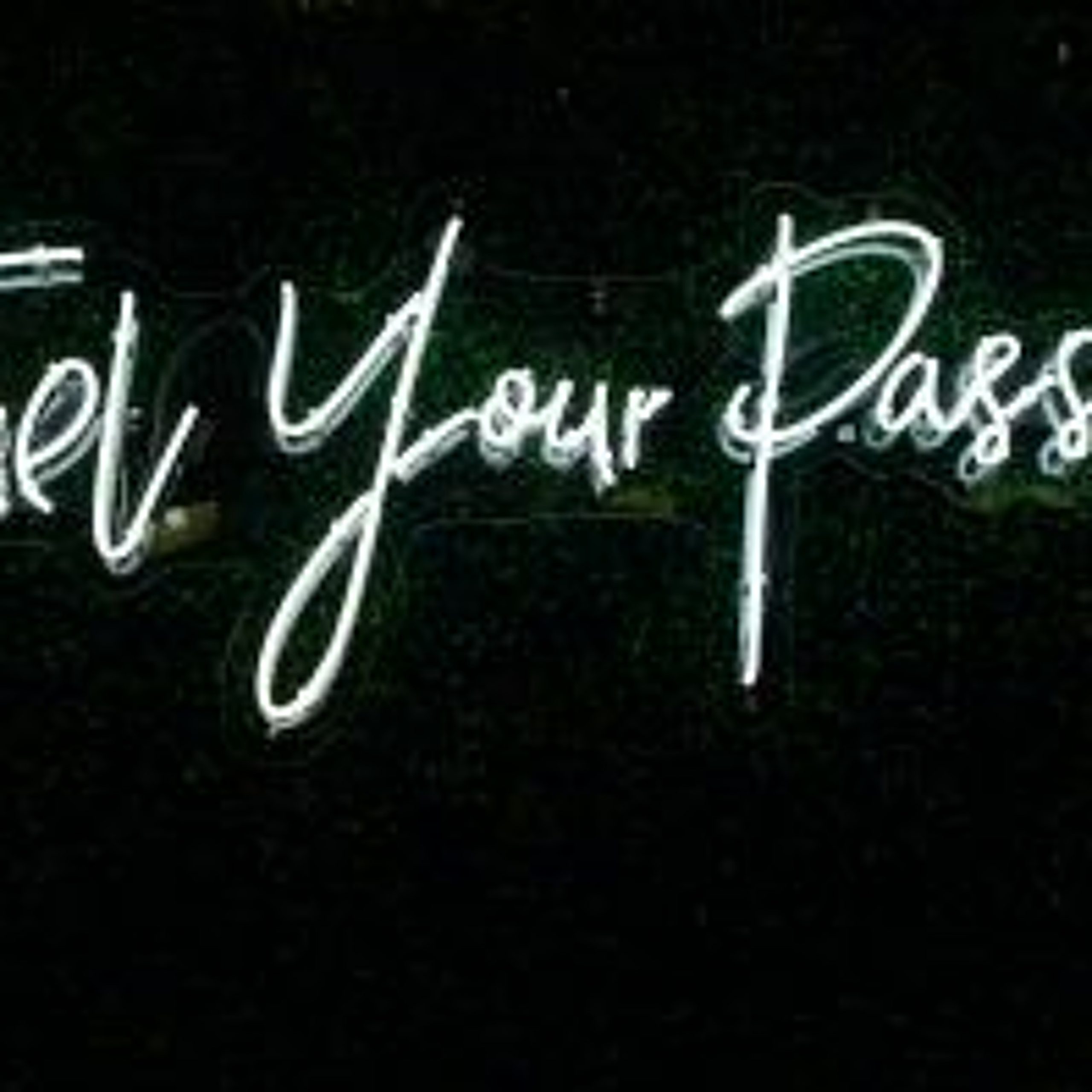 퇴사하고 스타트업하고 싶으세요?