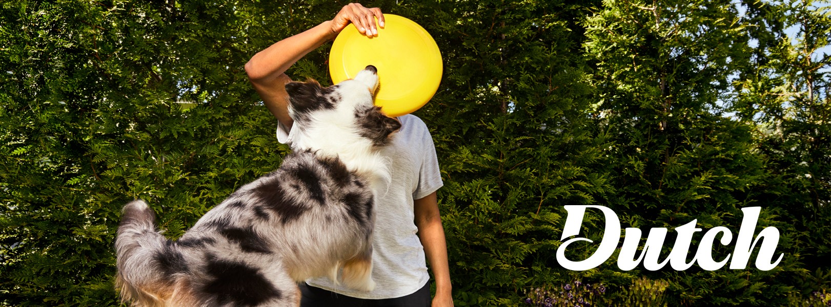 수의사 원격으로 만난다 ‘더치’