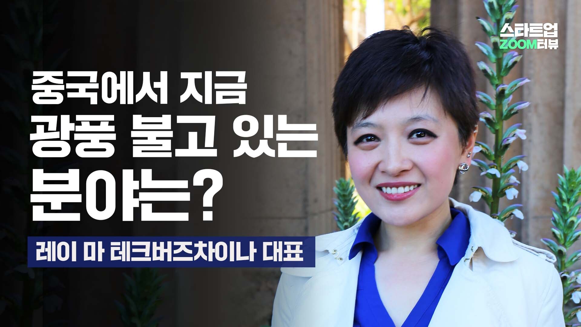 중국에서 지금 광풍 불고 있는 분야는?