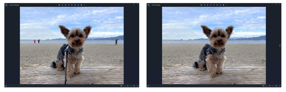 윈도 포토 앱에 AI 지우개 기능 들어간다