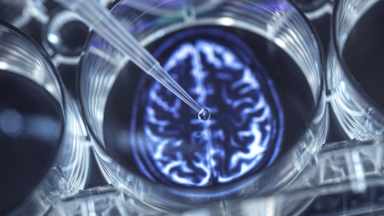 “전 세계 암 40%는 흡연‧음주 예방 가능한 게 원인”