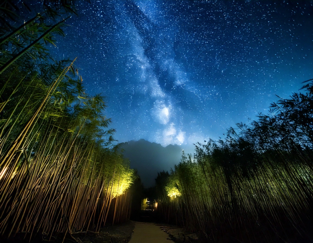 [DailyRecipe] 2024년 벤처 투자‧펀드 결성 동향 속 5가지 체크포인트