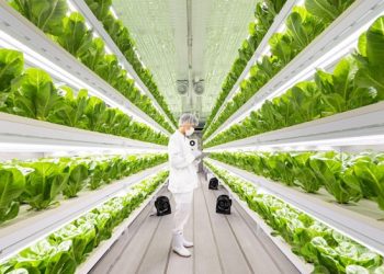 [AI서머리] 에너자이, 77억원 브릿지 투자 유치‧엔씽, 물류센터형 스마트팜 개발 추진 본격화