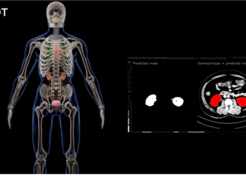 [AI서머리] 강원창경, G-스타트업 투자 역량 강화 교육 개강‧경기창경, 제30회 스타트업 815 IR-SEED 성료