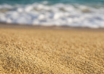 [DailyRecipe] 투자 유치 나선 규제샌드박스 승인 기업 10곳