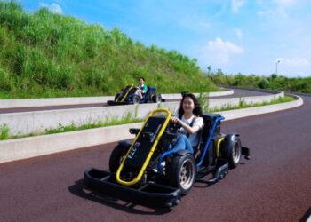 [AI서머리] 엘솔루, AI 영상 번역 ‘딥세임’ 출시‧‘육아 성장발달 종합보고서’ 오픈