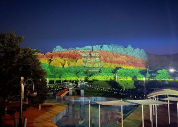 [AI서머리] 전남도, 벤처 R&D 실증 지원‧K-콘텐츠 수출보증 신설