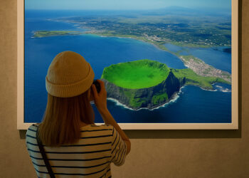 [DailyRecipe] 제주에 팁스 스타트업 모인 이유