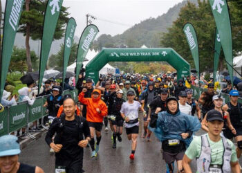 [AI서머리] 한국딥러닝, 100억 원대 시리즈A 투자 유치‧플라이북, AI 독서 에이전트 출시