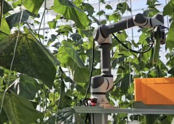 [AI서머리] 메타파머스, ‘오이 로봇 실증 프로젝트’ 완료‧버클, AI 기반 리테일 데이터 분석 특허 등록