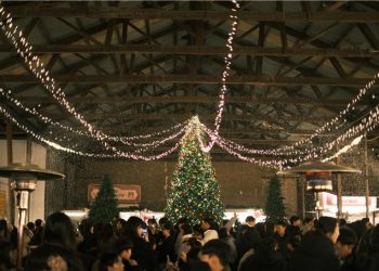 [AI서머리] 서울창업허브, 오픈이노베이션 성과공유회 성료‧벤기협, 닥터나우 방지법 통과에 우려 표명