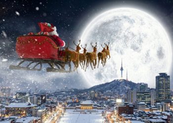 [DailyRecipe] 2025년 관광 혁신 이끈 스타트업 28개사