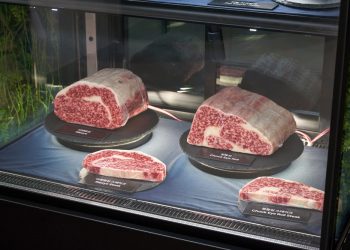 [AI서머리] 무인화연구소, MYSC 투자 유치‧티센바이오팜, ‘진짜 고기 수준’ 배양육 세포수 구현