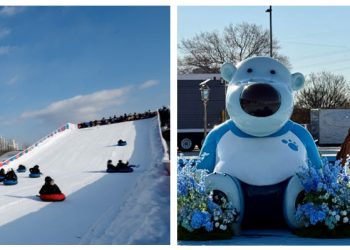[AI서머리] 아이브릭스-인실리콕스, ‘바이오 LLM’ 공동 개발 협력‧화해, ‘크리에이터 마켓’ 론칭