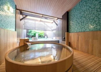 [AI서머리] 테스티파이, 킹고스프링 MOU 및 팁스 선정‧데이븐AI, AI 캐릭터 ‘저작 증명 기술’ 론칭