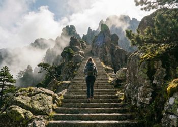 [DailyRecipe] 창업 7년 이내+AI+혁신 스타트업? 신청하세요