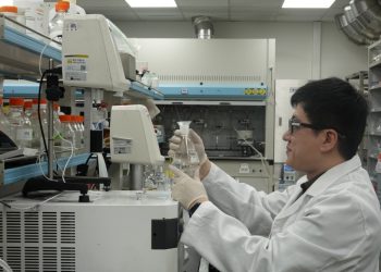 [AI서머리] 부산형 워케이션 활성화 사업 시동‧네이버웹툰, 5년간 창작자 수익 4조 돌파