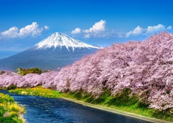 [AI서머리] 해외 온라인 시장 진출 지원사업‧‘경기인디시네마 조각투자’ 참여작 모집