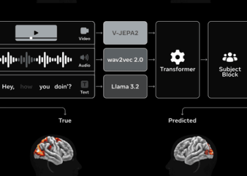 메타, 이미지‧음성에 대한 뇌 반응 예측 AI 모델 공개