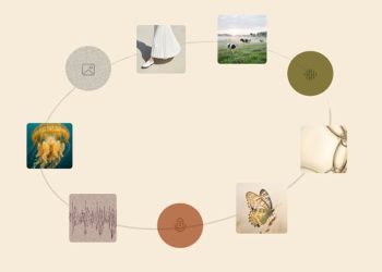 마이크로소프트, 자체 AI 모델 MAI 3종 출시