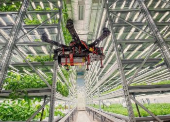 [DailyRecipe] 최대 60억…농식품 분야 팁스 R&D 시동 걸었다