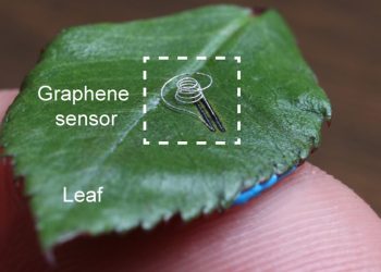 살아있는 식물‧뼈에 전자 회로 인쇄를…