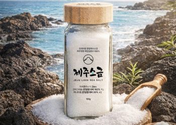 [AI서머리] 제주소금, 블루포인트 시드 투자 유치‧왈라, 한컴 등과 ‘지능형 행정’ 라인업 구축