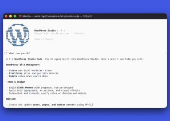 워드프레스 전용 AI 코딩 CLI 도구 무료 제공 시작